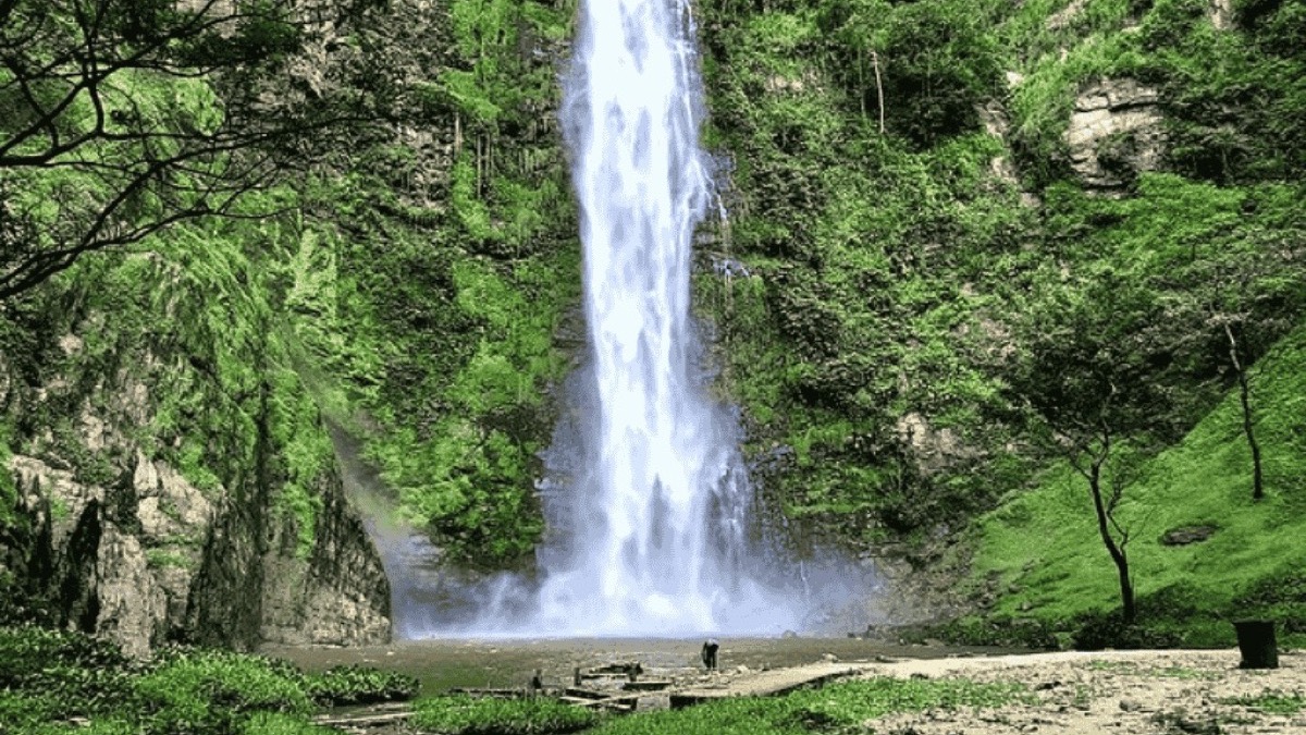 Wli Waterfalls in Volta Region